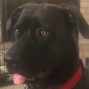 Meet your Posher, Ruthie